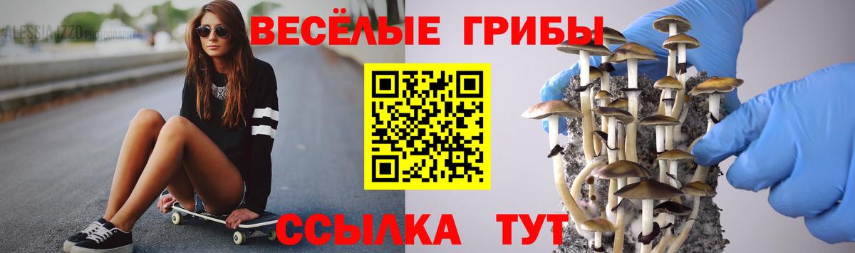 Спасск-Дальний  Псилоцибиновые грибы MAGIC MUSHROOMS  Вход с VPN 
